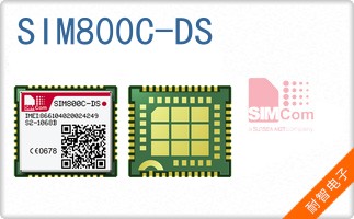 SIM800C-DS